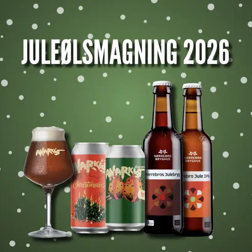 Skærmbillede 2026 10 02 Kl. 21.54.47