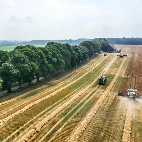 DJI 0128.MP4.00 00 06 27.Still001 Square