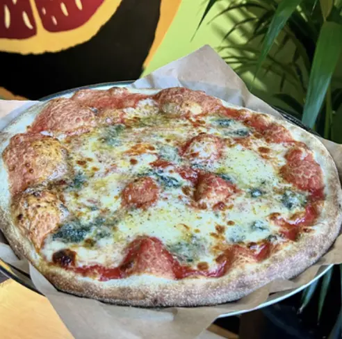 Skærmbillede 2026 01 19 Kl. 13.03.05