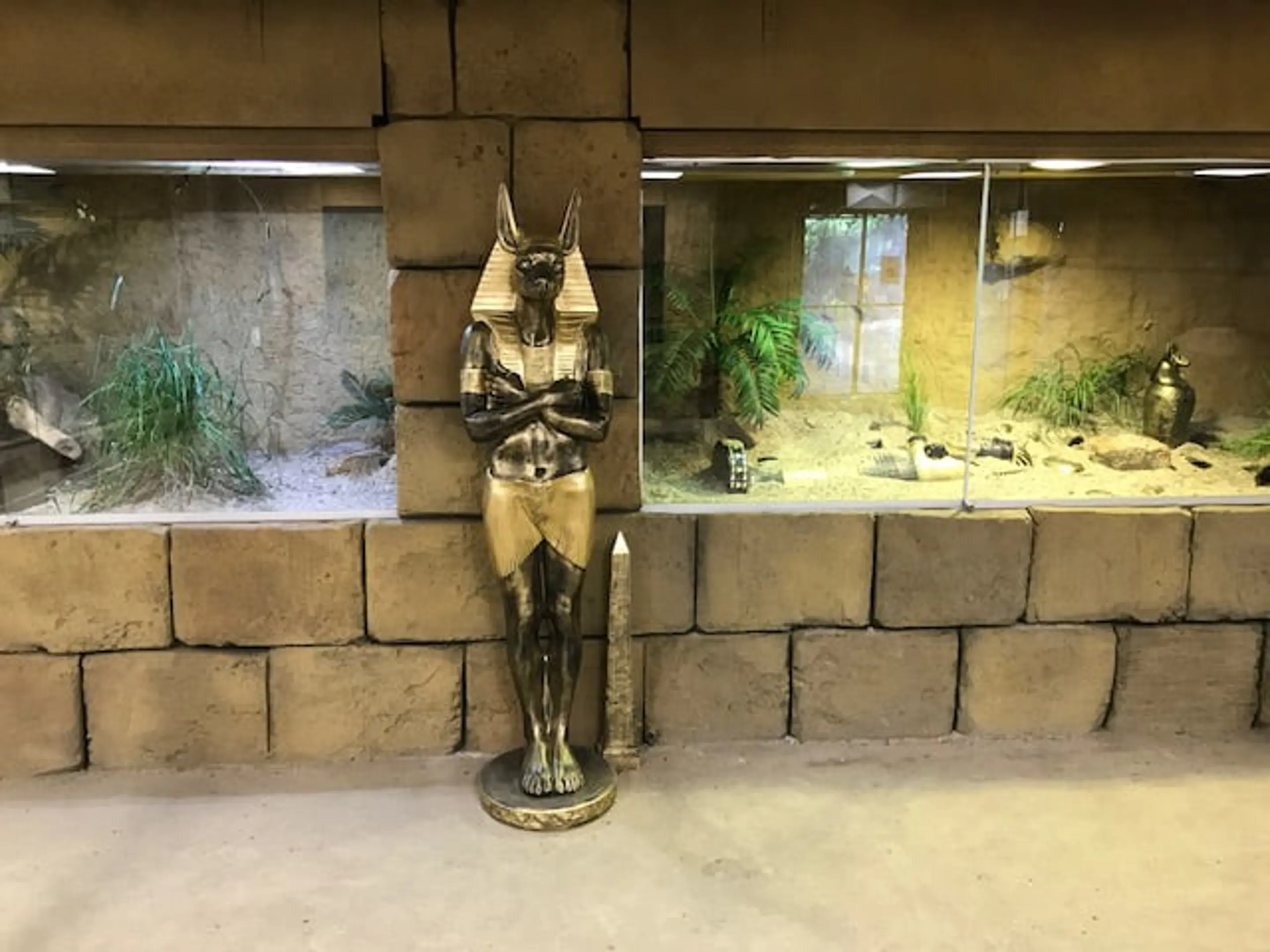 IMG 0938