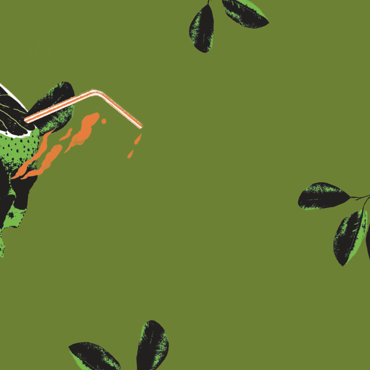 Anarkist Fizzy Lime Bg