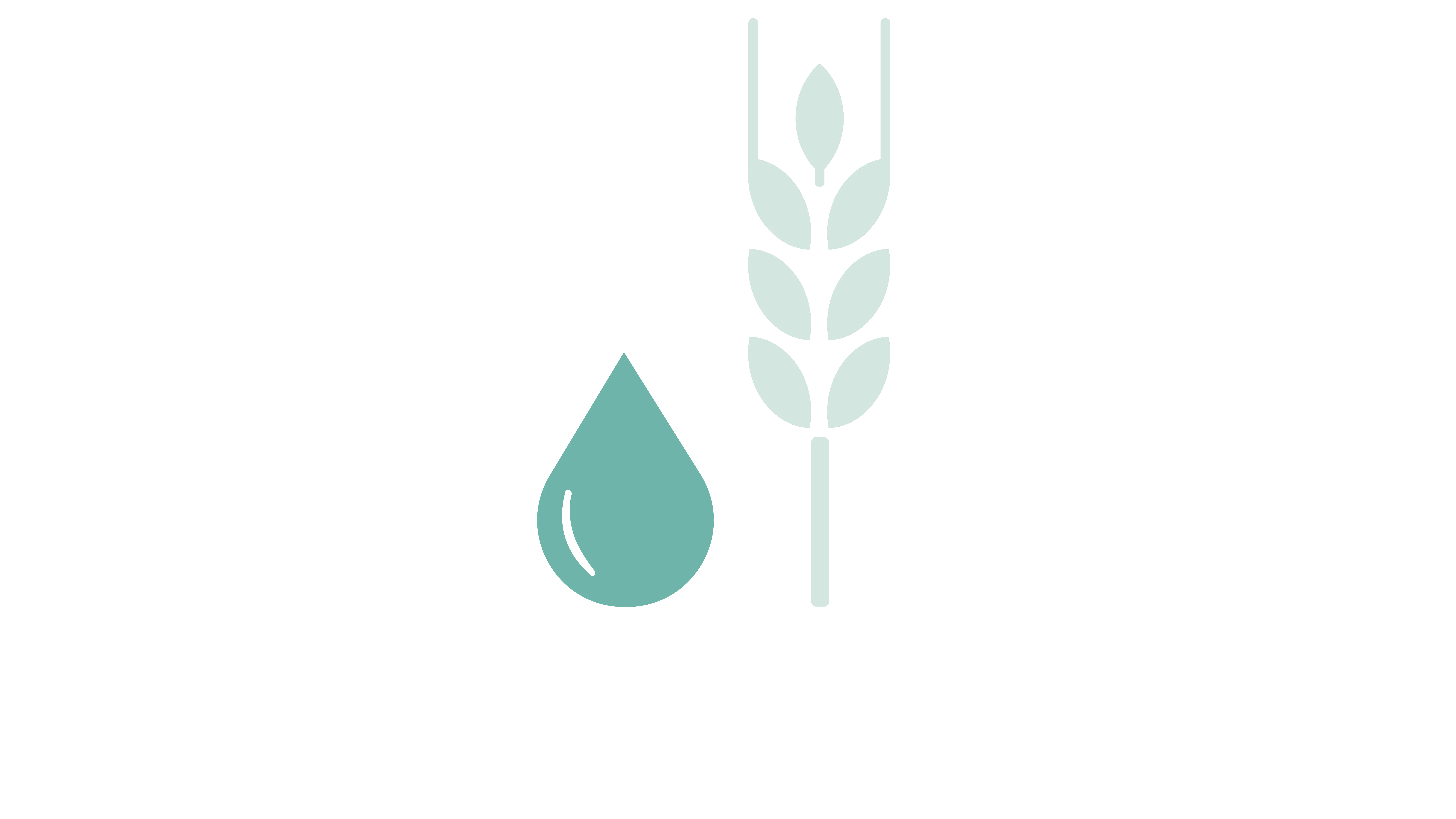 Royal Unibrew Value Chain Icons 2026 (1)