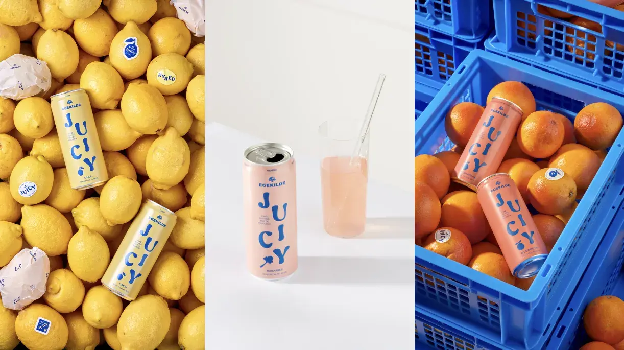 Skærmbillede 2026 01 12 Kl. 15.00.42 Kopier