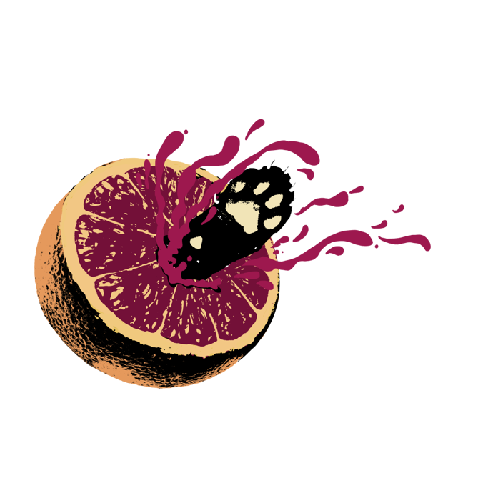 Anarkist Grafik
