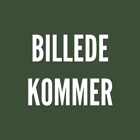 Billede Kommer