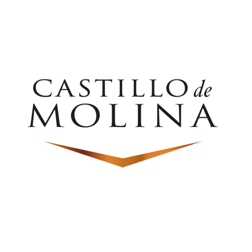 Castillo De Molinas
